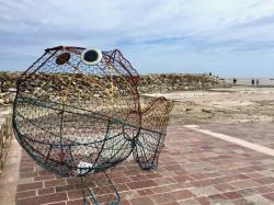 This was on the public beach for plastic trash collection. The storm apparently rolled it up off the beach and lost the contents along the way. You will see where the contents went in the following pics.